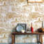 Aasen Beige Cactus Landscape Wallpaper