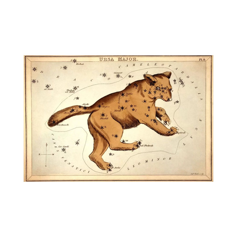 Ursa Major Ll by Sidney Hall - Wrapped Canvas Gallery-Wrapped Canvas Giclée, 101.6 cm H x 66.04 cm W x 1.91 cm D