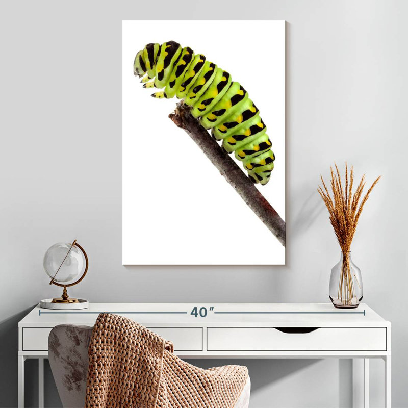 Chenille verte, H 30 po x l 20 po