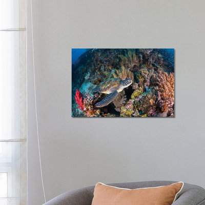 Coral Garden and Green Turtle 1 Piece Wrapped Canvas Wall Art
