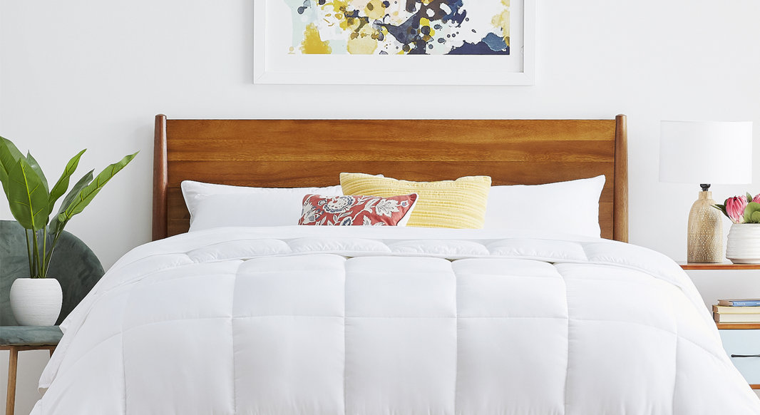 Comfort Meets Value