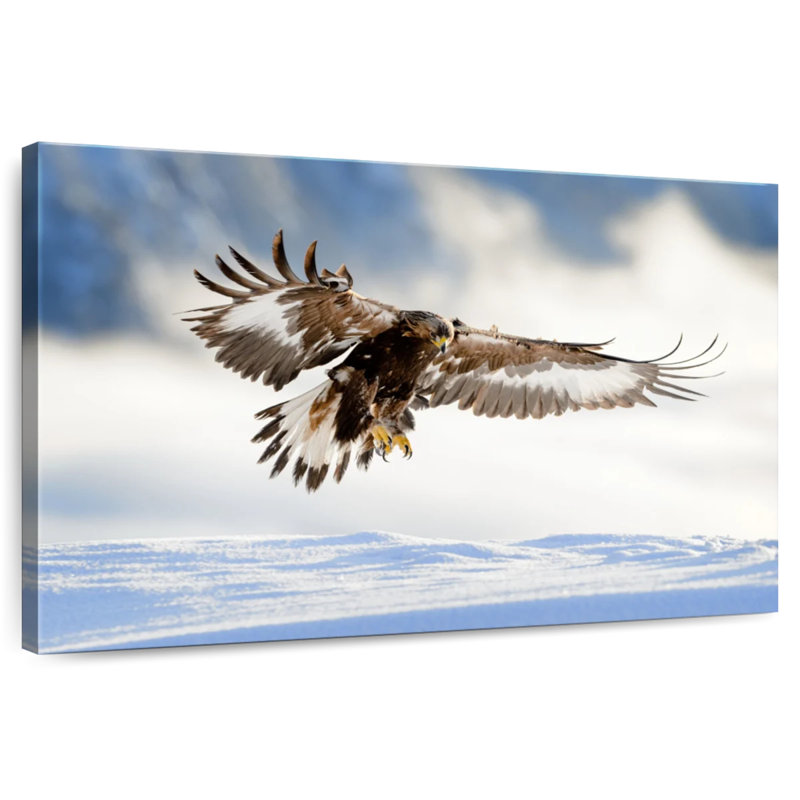 Brampt Norwegian Golden Eagle, 32" H x 48" W