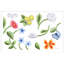 White Flower Giclee Print by Dana Gibson