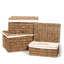 Ensemble de 3 paniers en ruppie maritime
