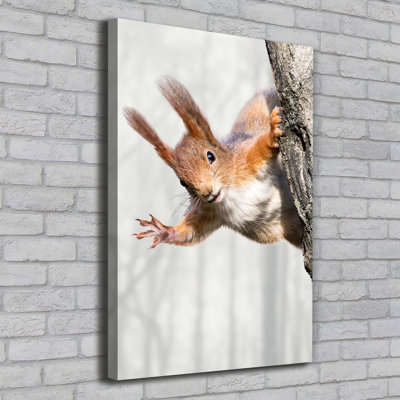 Squirrel On The Tree - Wrapped Canvas Print