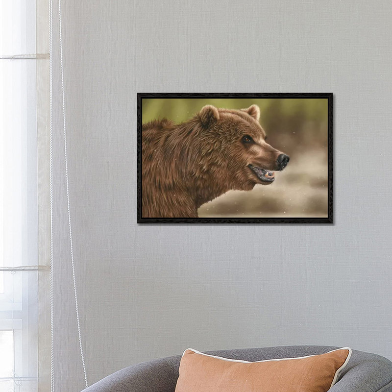 Grizzly Bear by Richard Macwee - Floater Frame Gallery-Wrapped Canvas Giclée on Canvas, Black, 45.72 cm H x 66.04 cm W