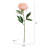 Elements Artificial Peonies, 6 Piece, 18 Inch