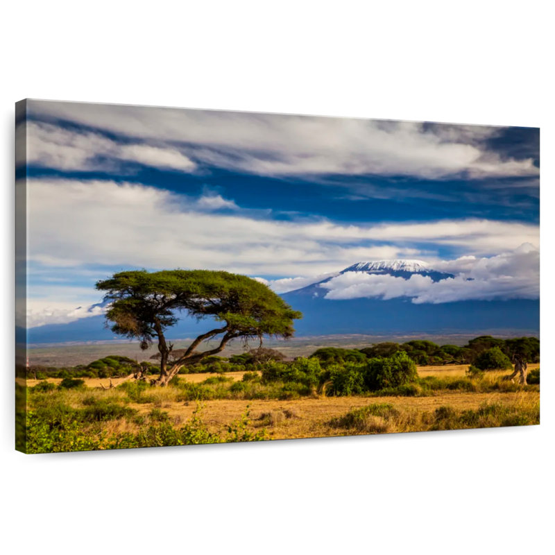 Alvord, paysage du mont Kilimandjaro, H 26 po x l 39 po