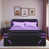 Black/Purple