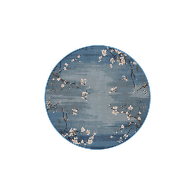 Silky Soft Plush Blue Area Rug