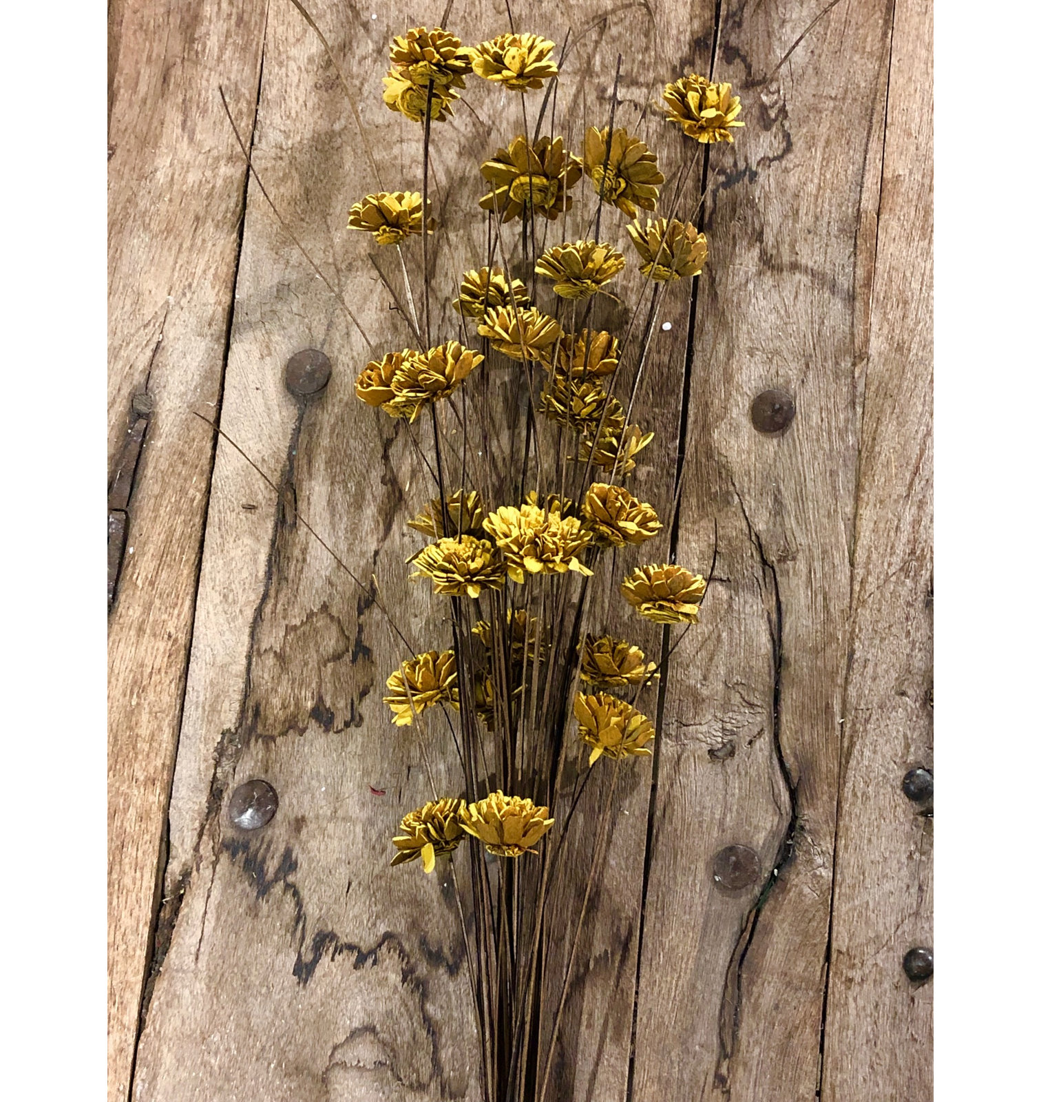 Arrangement, Yellow/Carmel