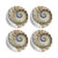 Nautilus Pearl Vegan Leather Round Coasters