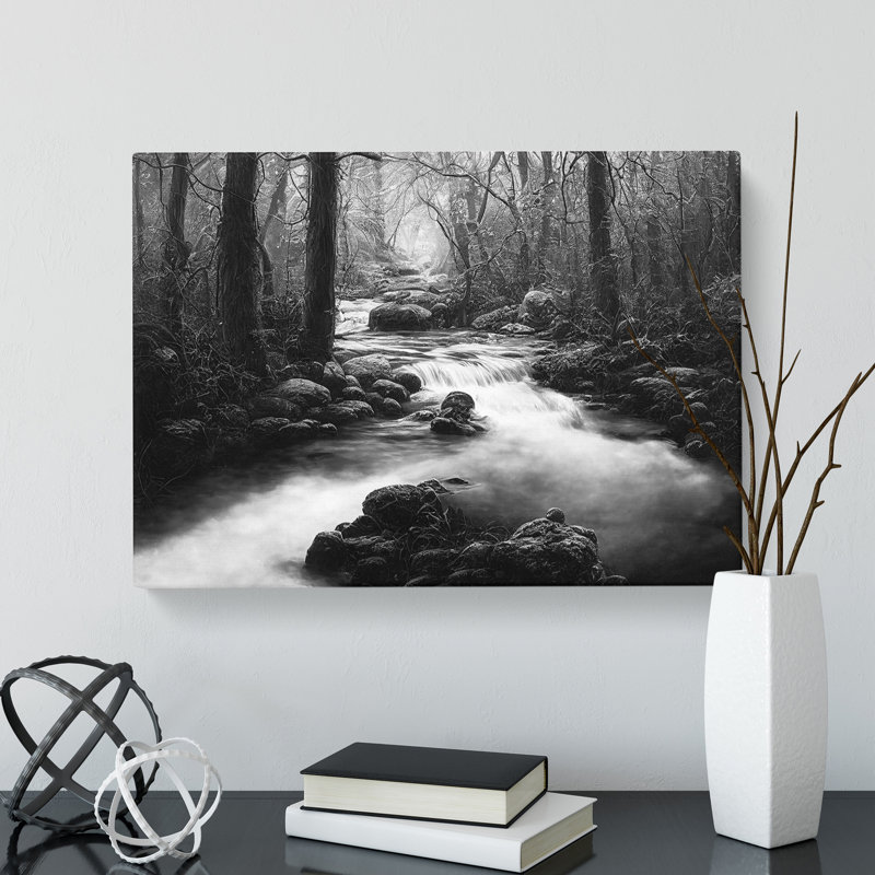Monochrome Forest Stream - Wrapped Canvas, 35cm H x 50cm W x 3cm D