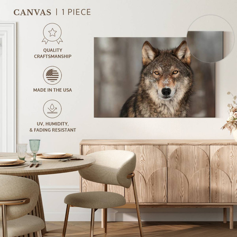 Loup gris Brampt, H 34 po x l 51 po