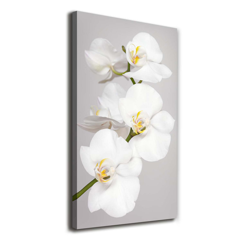 Tropical Leaves - Wrapped Canvas Print
