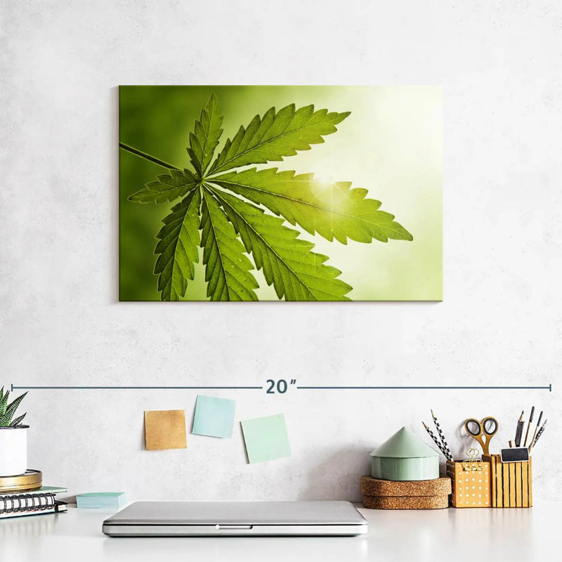 Lever de soleil de la marijuana, 8" H x 12" W