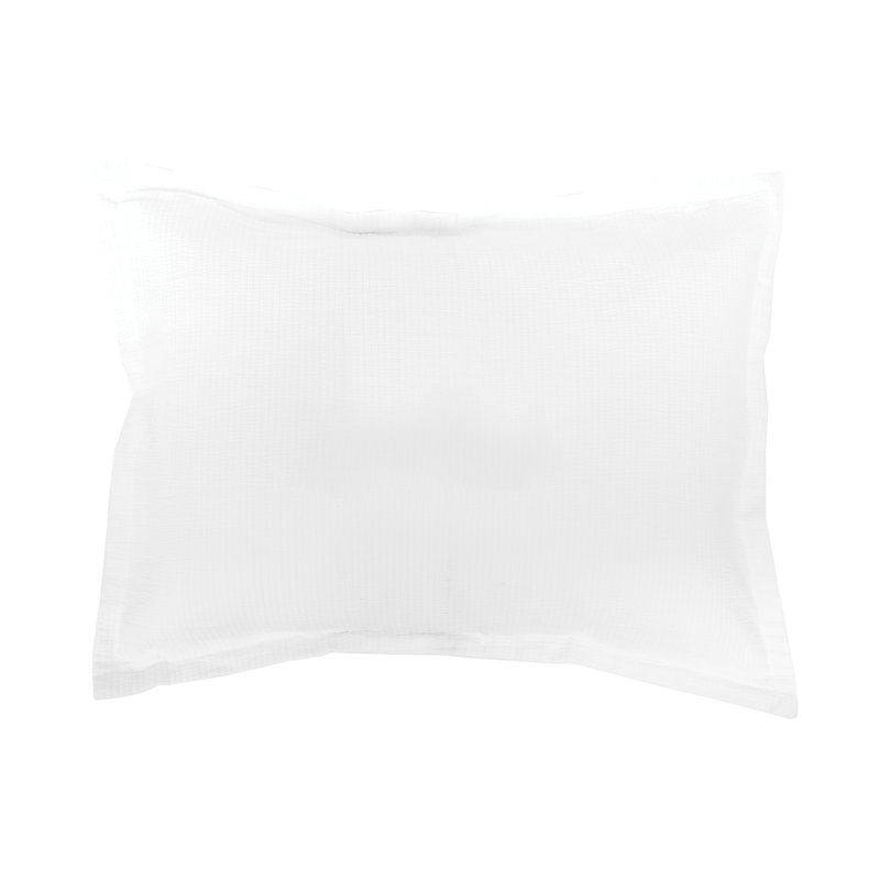 Delfina Delfina White Cotton Sham, Standard