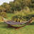 Searcy 2 Person Classic Hammock-1353453865
