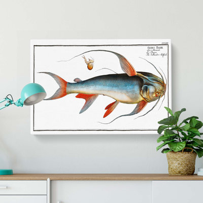 Saltwater Catfish by M.E. Bloch - Wrapped Canvas