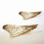 Wing Platter Sculpture