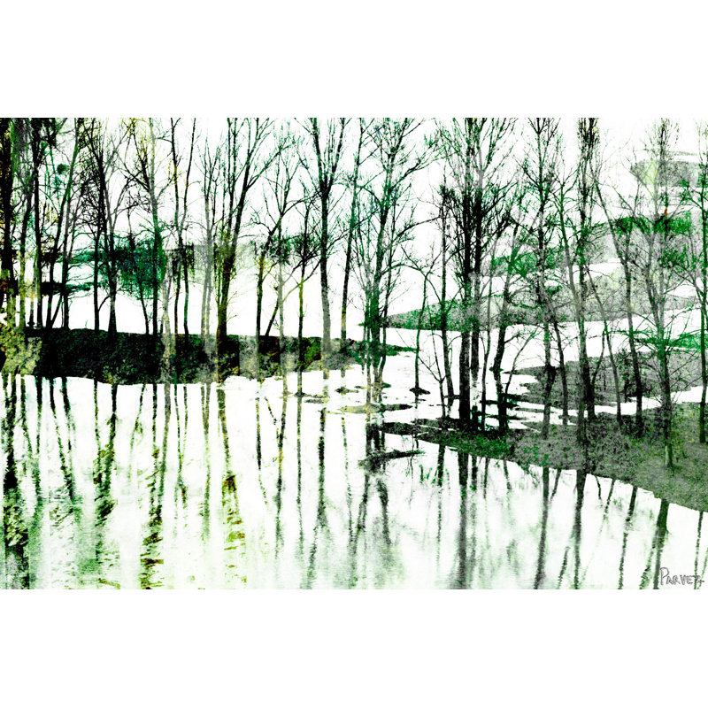 Parvez Taj - Wrapped Canvas Print, 30cm H x 45cm W