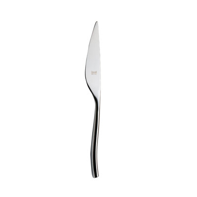 Arte Stainless Steel Dinner Knife