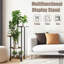 Plant Stand - Set of 5