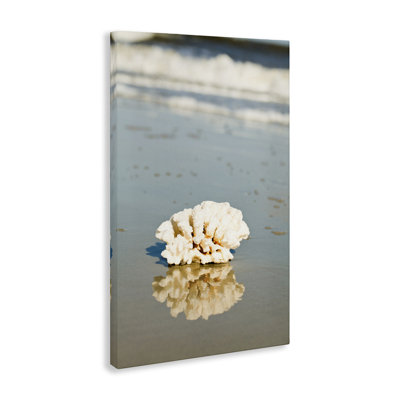 Coral on Sea Shore Canvas Wall Art by Susan Bryant