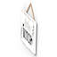 Kitchen Mushrooms Wooden Plaque