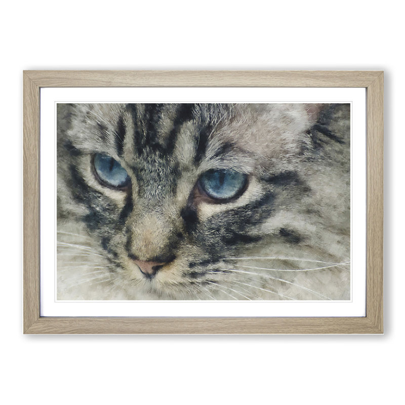 Portrait of a Cat Vol.14 - Framed Print, 27cm H x 36cm W x 2cm D, Oak Framed