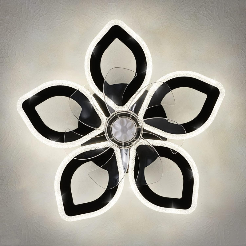 Ceiling Fan With Lighting