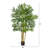 60'' Tree in Pot Liner