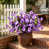 Purple/Blue