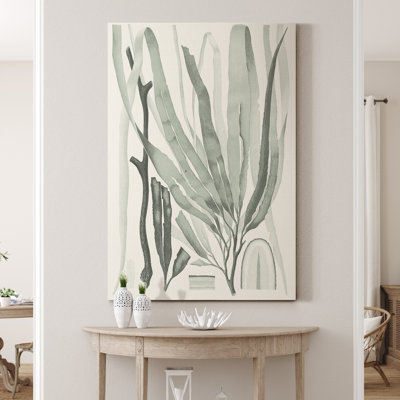 « Sauge Green algue II », reproduction d’art sur toile tendue