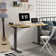 Mancheer Electric Adjustable Standing Desk with Movable Power Strip & Silence Motor