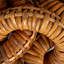 Somerby Rattan Wrapped Mango Wood Chain With 5 Links