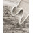 Glenn Indoor Rug-330115316