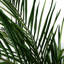 150cm Faux Plant in Pot Liner