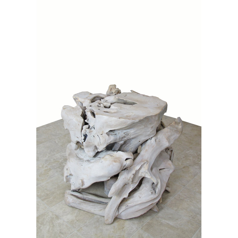 Teak Root Sculpture