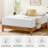Sleep by Wayfair™ 12" Medium Memory Foam Mattress-119626642
