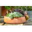 Cintre Beatrix Potter Pigling Bland Pot