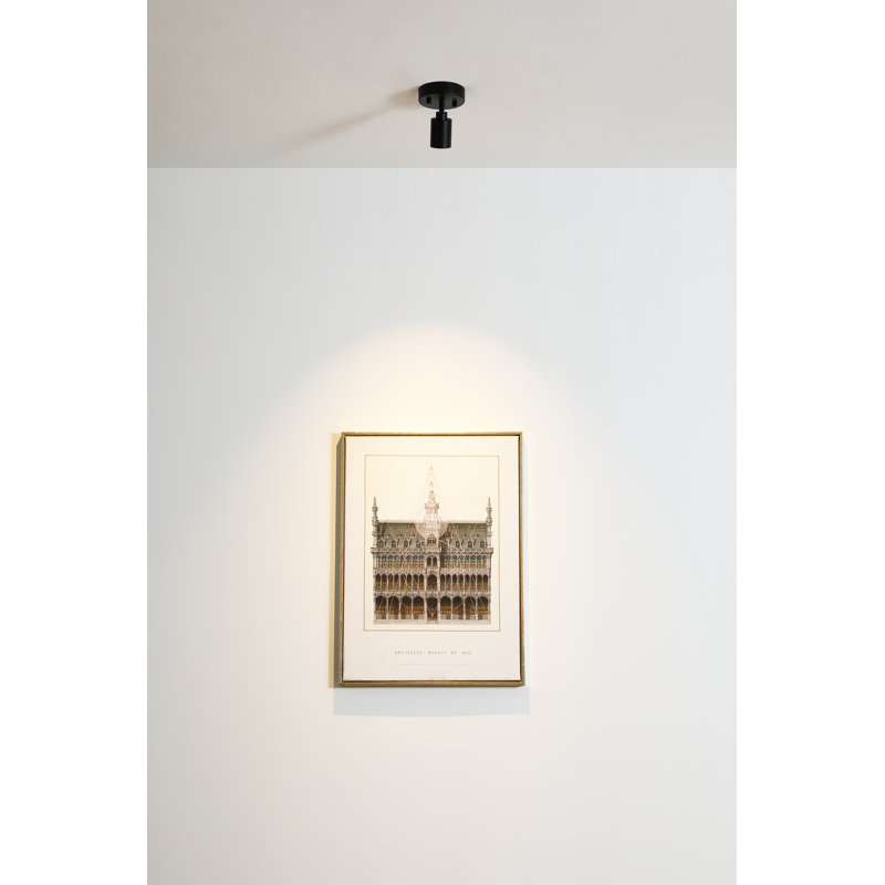 LED Spotlight, Matte Black, Matte Black