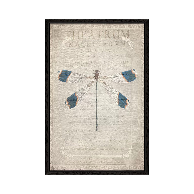 Dragonfly Book I by Kimberly Allen - Print on Canvas, 101.6cm H x 66.04cm W x 3.81cm D, Black Framed