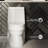 Virage One-Piece Elongated Toilet Vortex Dual-Flush 1.1/1.6 gpf-55042730-117223371