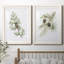 Winter Botanical III - ensemble de 2 reproductions d'art-1084665348-1084665594-1084665353