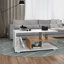 Maudry Abstract Coffee Table with Storage