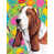 Basset hound (brun et blanc)