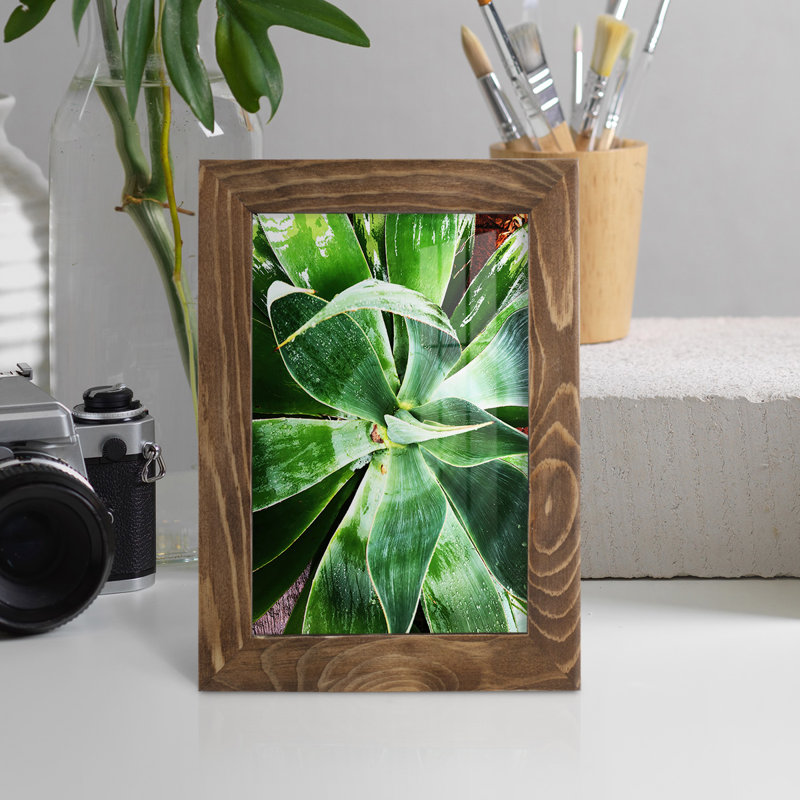 Green Tropical Succulent II - reproduction d'un seul cadre photo, H 7 po x l 5 po x P 1 po, Noyer