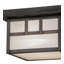 1 - Light Flush Mount