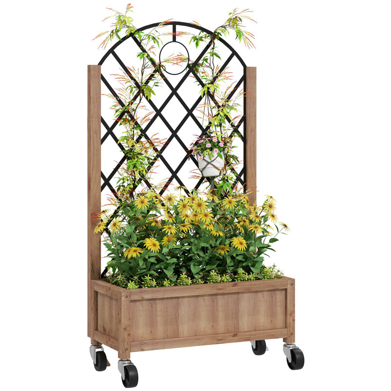 Raised Garden Bed, 1
